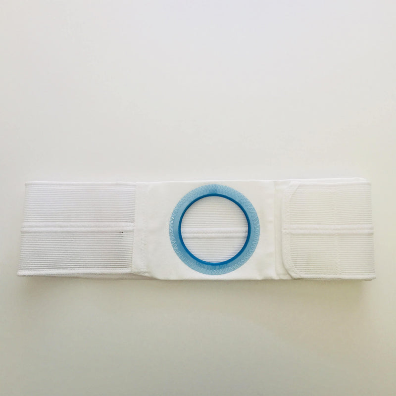 Flat Panel Support Belt