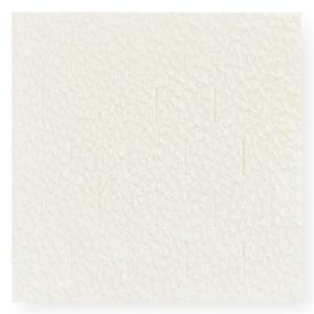 Hollister Endoform Dermal Template Dressing